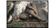 Lion de Belfort